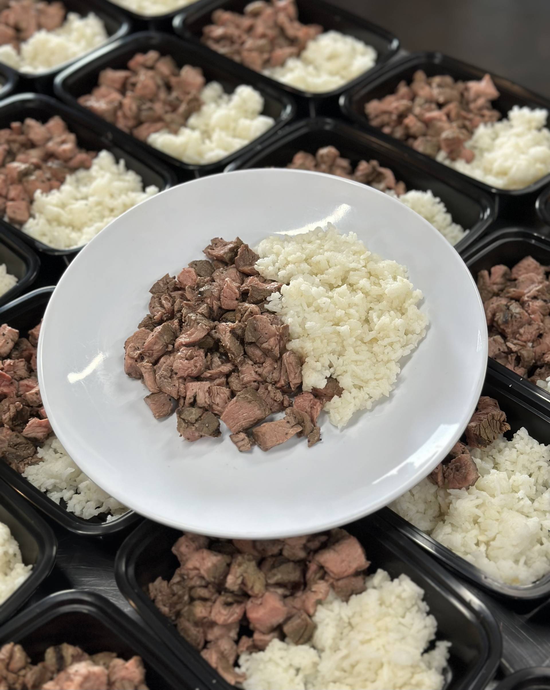 Moderate Carb - The Steak Bowl